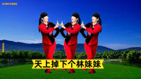 小慧广场舞《天上掉下个林妹妹》简单俏美50