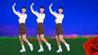DJ广场舞《负我不负她》触动心弦