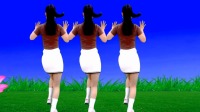 燕子广场舞《为什么爱的模棱两可》火爆DJ热
