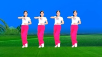 DJ广场舞《负我不负她》正面附教学 时尚超