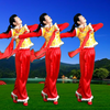 广场舞《今天是个好日子》喜庆飘带舞正反演