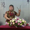河南坠子《呼家将》全集