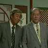 碰碑下载