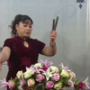 河南坠子《大明奇冤案》全集