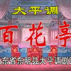 大平调《百花亭》上集 山东省东明县大平调剧团下载