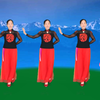 广场舞《微山湖》正面附教学柔美大方