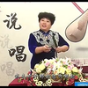 河南坠子《严海斗》全集