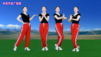 广场舞《爱情像花瓣》动感时尚水兵舞