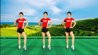 支英广场舞《女人没有错》32步广场舞简单易