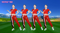 DJ广场舞《今天的风好大》简单易学附分解