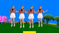 玫香广场舞《为什么爱的模棱两可》正背面附