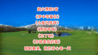 广场舞《梦中等着你》《今夜风阵阵》《情路