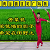广场舞《苦菜花》《篱笆墙的影子》《希望的