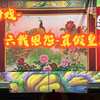 歌仔戏《六载恩怨真假皇后》全集