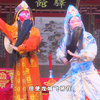 白字戏《金叶菊》下集