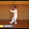 朱天才大师太极拳老架一路演示下载
