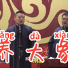 养大象