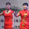 河南坠子《王三姐拜寿》全集下载