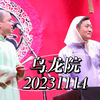 乌龙院下载