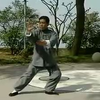 八十五式杨式太极拳(傅清泉)下下载