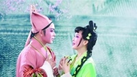 大型新编古装传奇锡剧《玉飛鳯》全剧下载