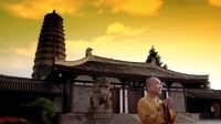 秦腔现代戏《生命的绿洲》全本下载