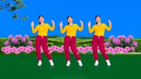 64步广场舞《永远的等你》正背面附教学