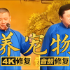 养宠物