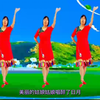 广场舞串烧《草原花正开》《白羽毛》《傈僳