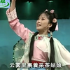 黄梅戏《雾里青传奇》全集下载