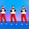 DJ新歌广场舞《这条街》正面附教学