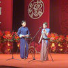 京韵大鼓《宝玉探晴雯》下载