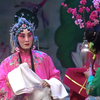 京剧《锁麟囊》全剧 精华版下载