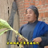 民间小调《两个儿媳打婆婆》上集