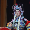 豫剧红白花专场