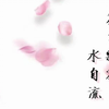 川剧《花自飘零水自流》全剧
