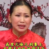 河南坠子《刘云打母》