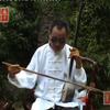 河南坠子《拳打镇关西》