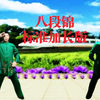 国家体育总局《八段锦》标准加长版 拧转抻