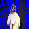 庐剧《新秦雪梅》合肥市庐剧院