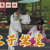 莆仙戏《太子坐堂》全集高清版