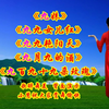 广场舞串烧《九妹》《九九女儿红》《九九艳