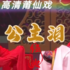 莆仙戏《公主泪》全集高清版