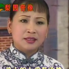 河南坠子《龙爪不孝子》