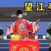 河北梆子《望江亭》全剧 燕赵梆子团
