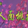 评剧《人面桃花》全剧 沈阳评剧院
