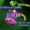 沂蒙小调《十二陪送》第二部上