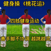 广场舞串烧《大雁南飞》《真的真的好想你》