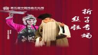 丝弦折子专场