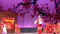 婺剧《双合缘》全剧 永康市高镇村演出